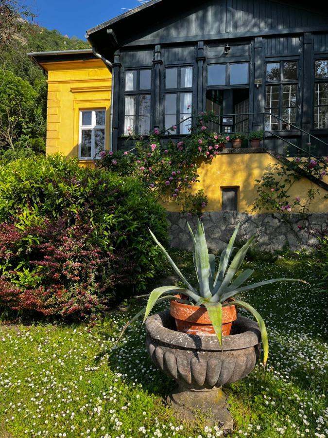 Apartman Apartmentvillasolomon7 - Dunakanyar Panoramas Visegrád