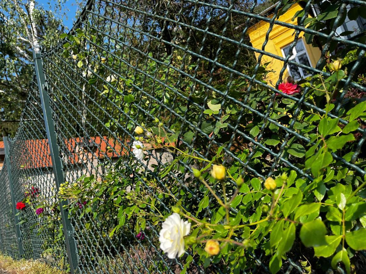 Apartmentvillasolomon7 - Dunakanyar Panoramas Visegrád