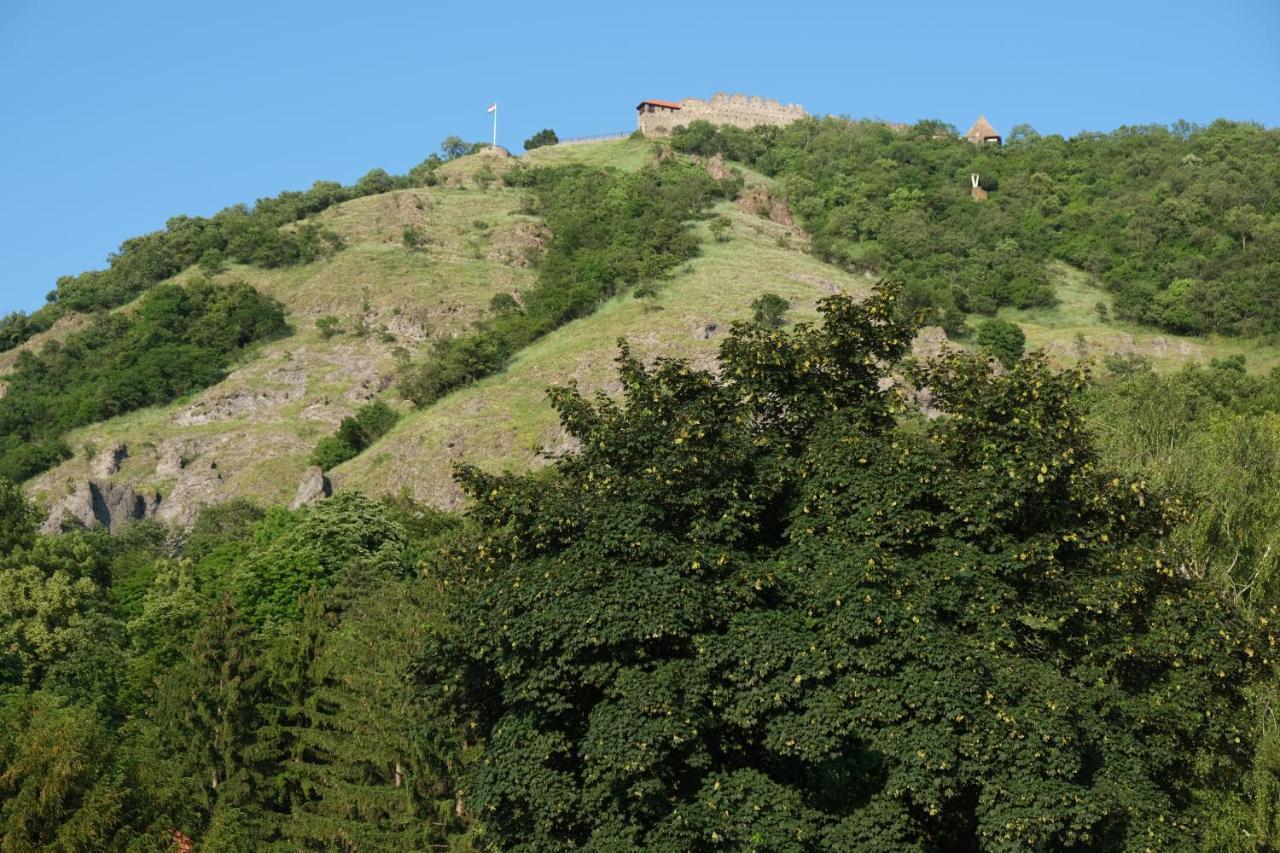 Apartmentvillasolomon7 - Dunakanyar Panoramas Visegrád